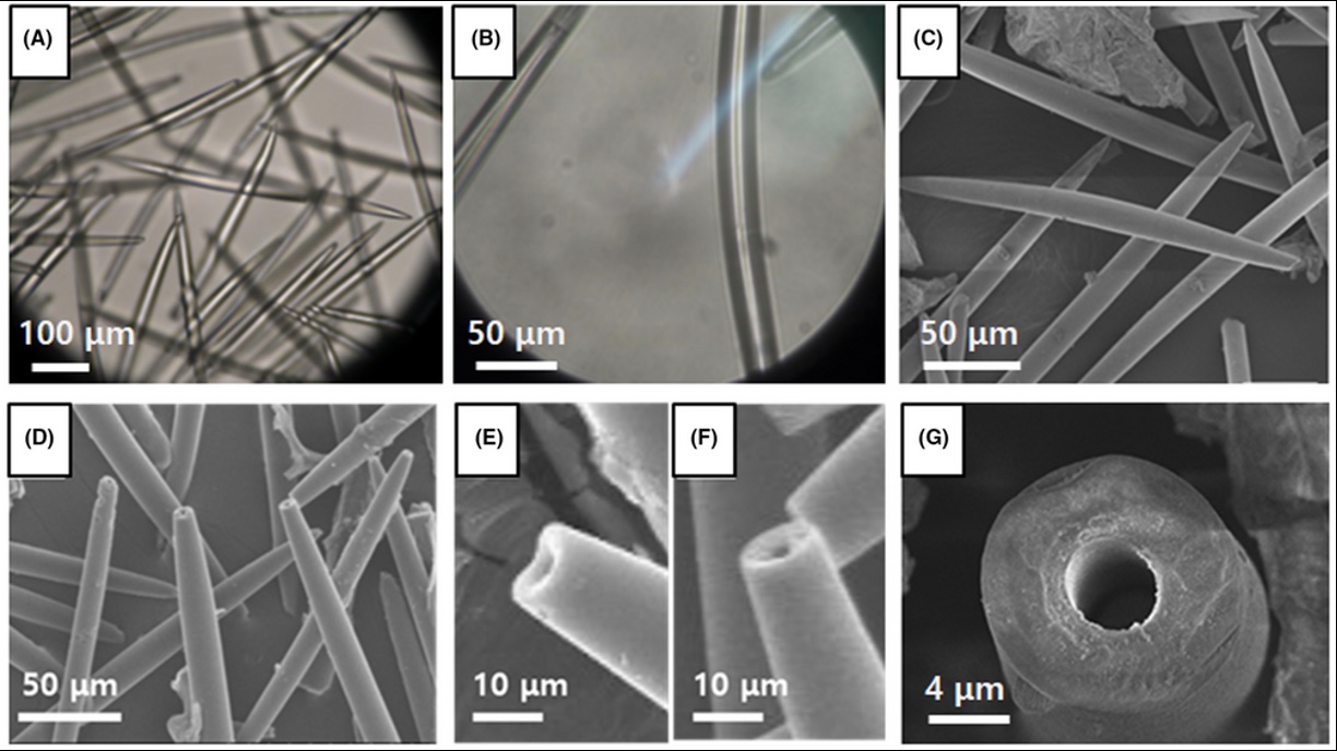 Jak spikule mění péči o pleť